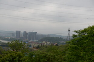 城市远景与绿意景观