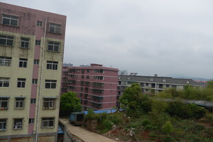 城郊多层建筑与绿植景观