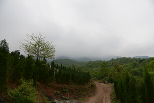 山间云雾缭绕的蜿蜒小路