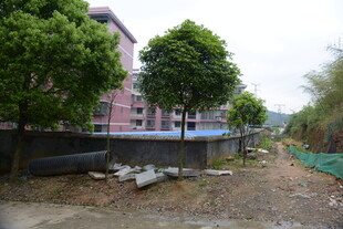 户外施工场景中的建筑与树木