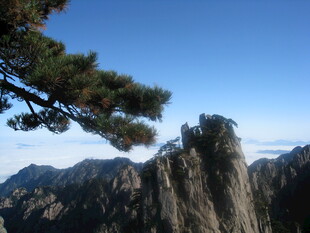 黄山奇峰与苍松美景