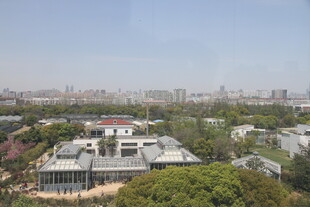 城市中绿树环绕的建筑群
