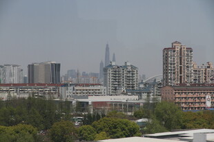 城市远景中的建筑与绿树