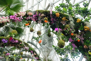 缤纷花卉装饰的拱形景观