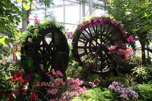 花园中的复古铁艺装饰景观