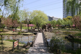 春日园林美景