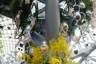 户外花卉装饰场景