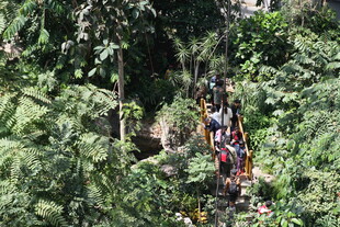 丛林中进行的高空冒险活动