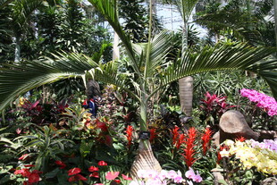 多彩花卉与绿植景观