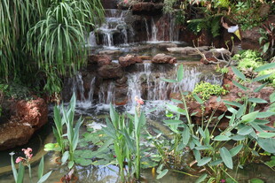 庭院中的潺潺小瀑布