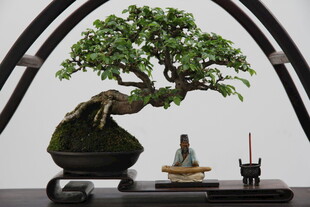 精致中式盆景艺术摆件