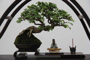 精致中式盆景艺术摆件