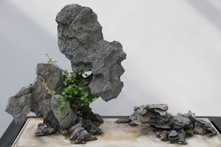 中式假山盆景景观展示