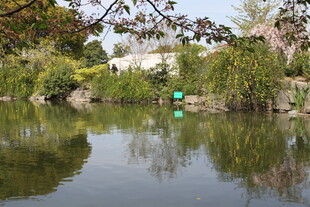 宁静湖畔的自然景致