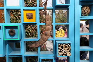 蓝色镂空窗中的多彩景象