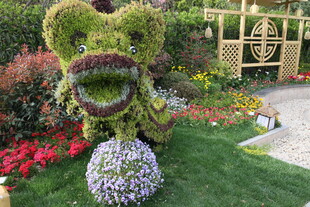 绿植造型龙 园艺艺术之美