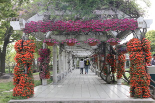 花饰长廊 浪漫漫步之地