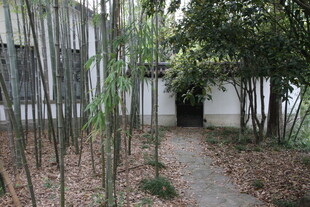 竹林小径旁的静谧小屋