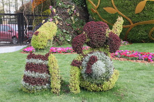 皮卡丘造型绿植景观