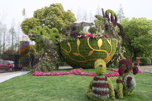 花园中的创意植物造型景观