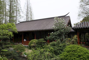 中式园林中的古朴小屋