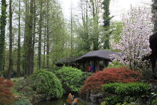 中式园林景致 花木环绕亭