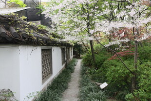 白墙花径间的中式小巷