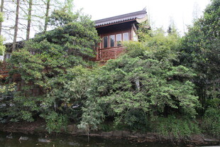 湖畔绿荫中的中式雅致建筑