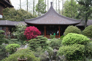 中式庭院景观 绿意盎然