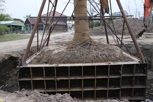 塔吊基础施工场景