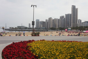 海滨城市花坛与高楼景观