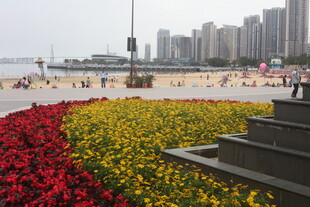 海滨花坛与城市风光