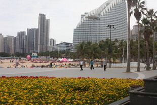 城市花坛旁的现代建筑景观