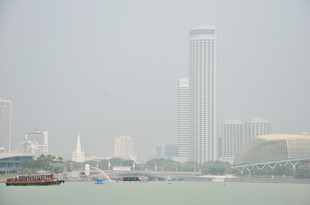 雾中城市与水域景观