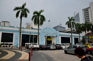 蓝墙建筑旁的街道景象