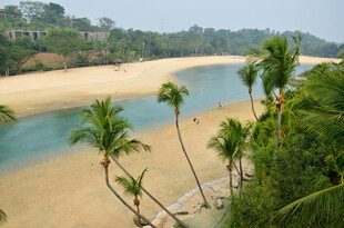 热带海滨风光 椰林沙滩美景