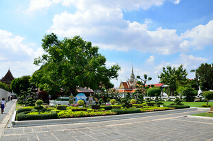 城市中绿意盎然的开阔空间