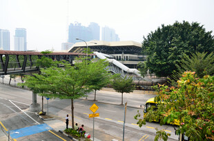 城市道路旁的绿树与建筑