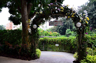 花园拱门景观 绿植环绕