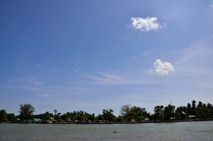 马来西亚蓝天碧水旁的葱郁树林