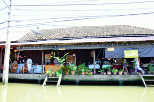 水上绿植售卖小店