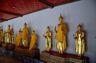 马来西亚一排金色佛像陈列墙边