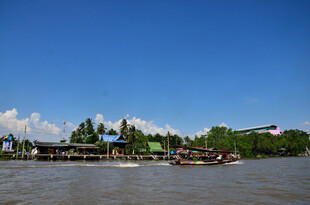 马来西亚河畔多彩船只与葱郁景致