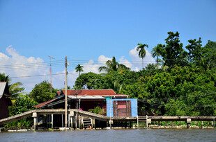 马来西亚河畔小屋 自然静谧之景