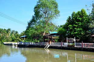 河畔风景 宁静的水上人家