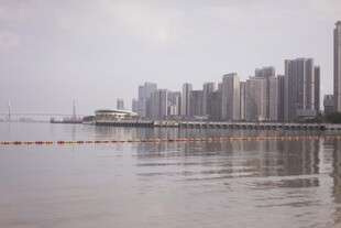 湛江城市江畔高楼倒影景观