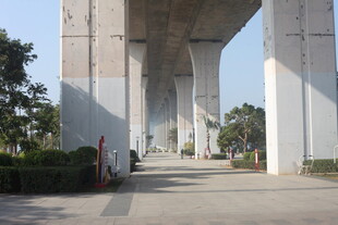 湛江桥下道路景象