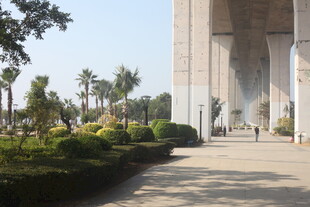 湛江城市中高大建筑旁的景观道