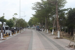 湛江城市林荫步道景观