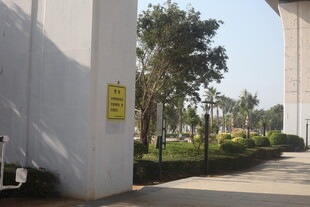 湛江户外建筑旁的绿化景观